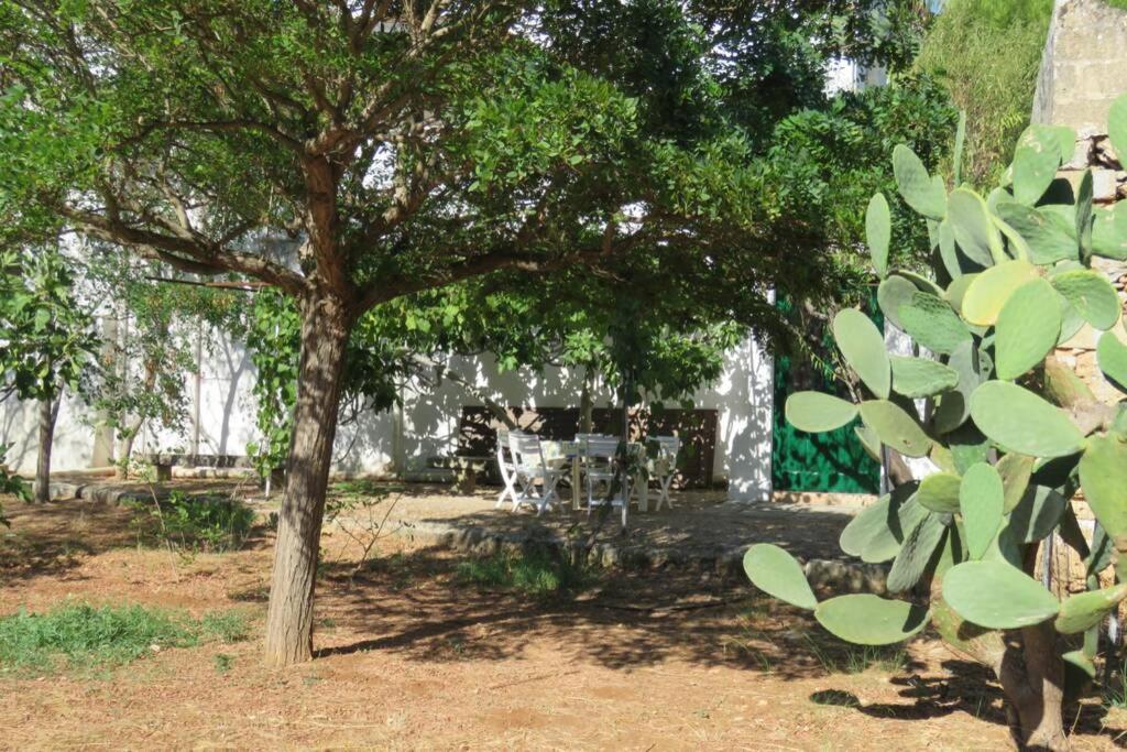 Villa Casa Colonica à Gallipoli Extérieur photo