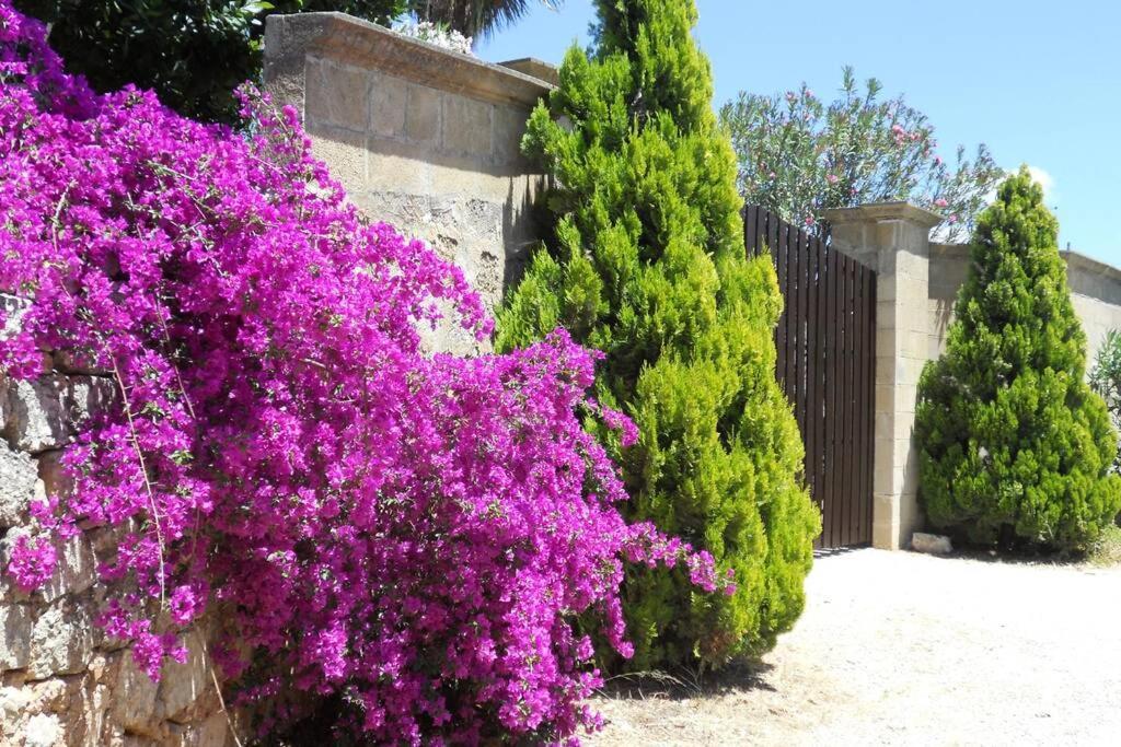 Villa Casa Colonica à Gallipoli Extérieur photo